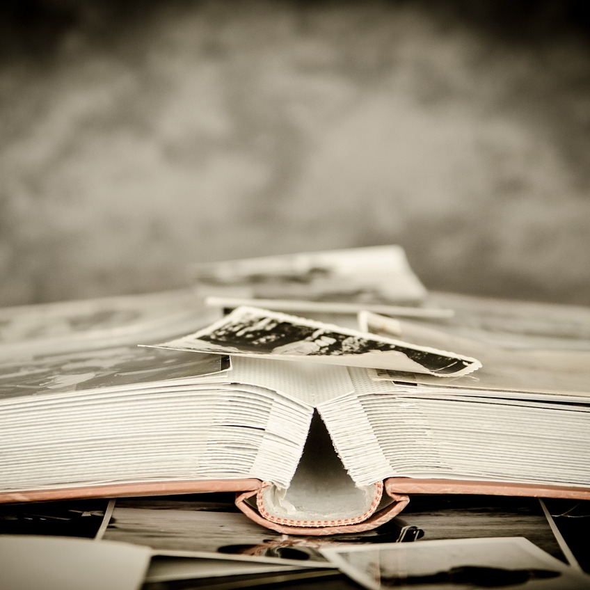 Flowershop (flowershop.lens) Lens social identity (.lens handle) PFP