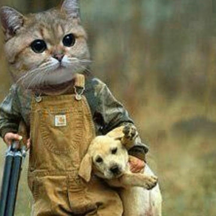 Vicente (vicen.lens) Lens social identity (.lens handle) PFP