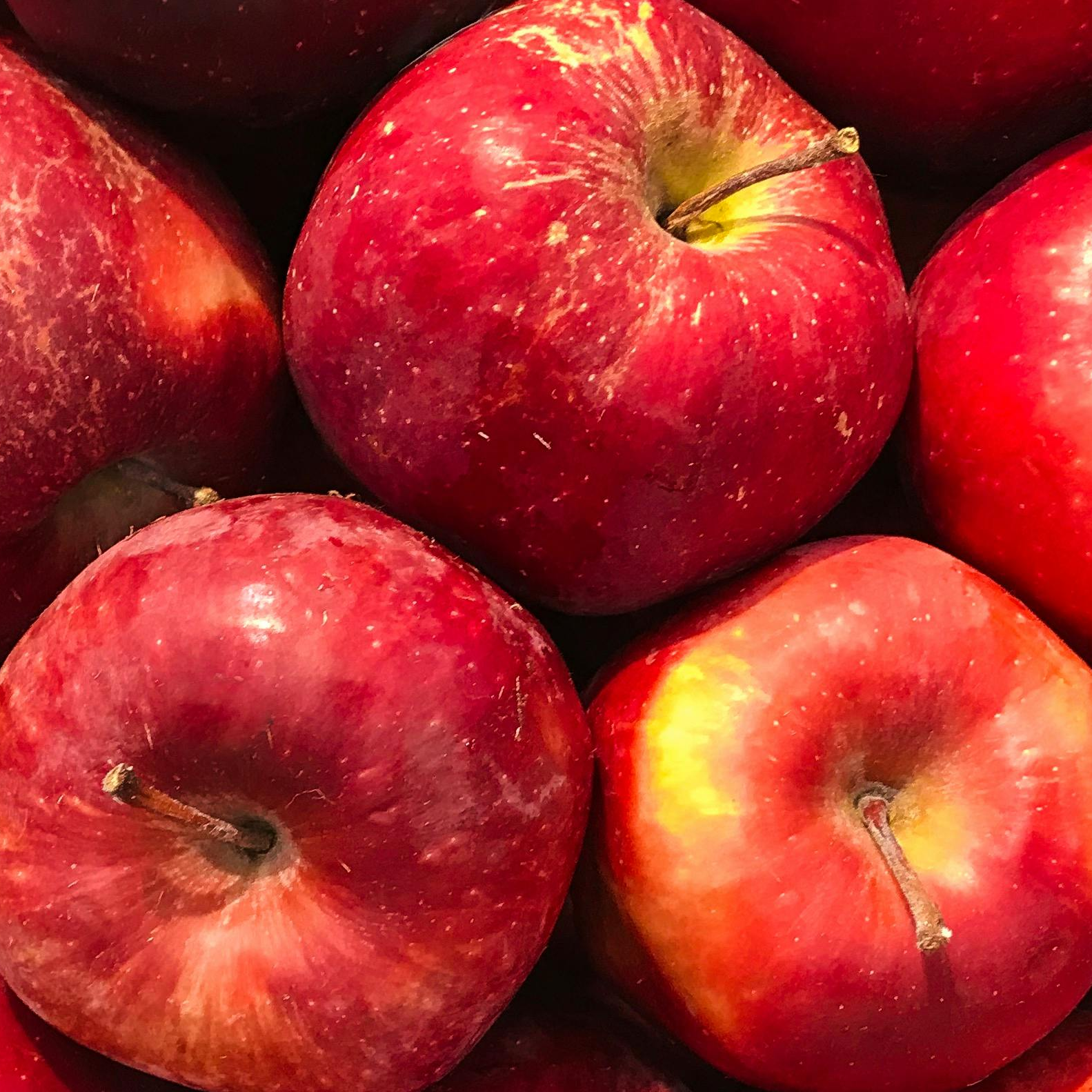 thomas (apple.lens) Lens social identity (.lens handle) PFP