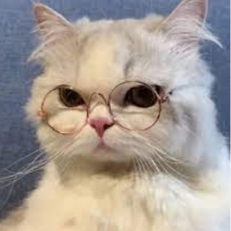 vhbjnbhjb (fsssss.lens) Lens social identity (.lens handle) PFP