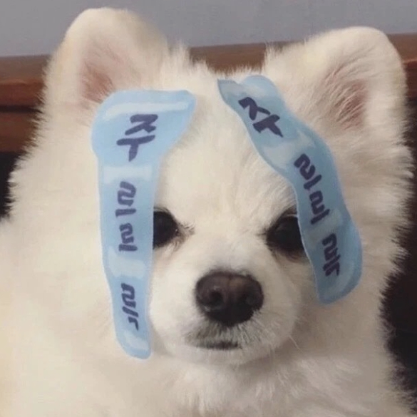 Otto Hoyle (llllcc.lens) Lens social identity (.lens handle) PFP