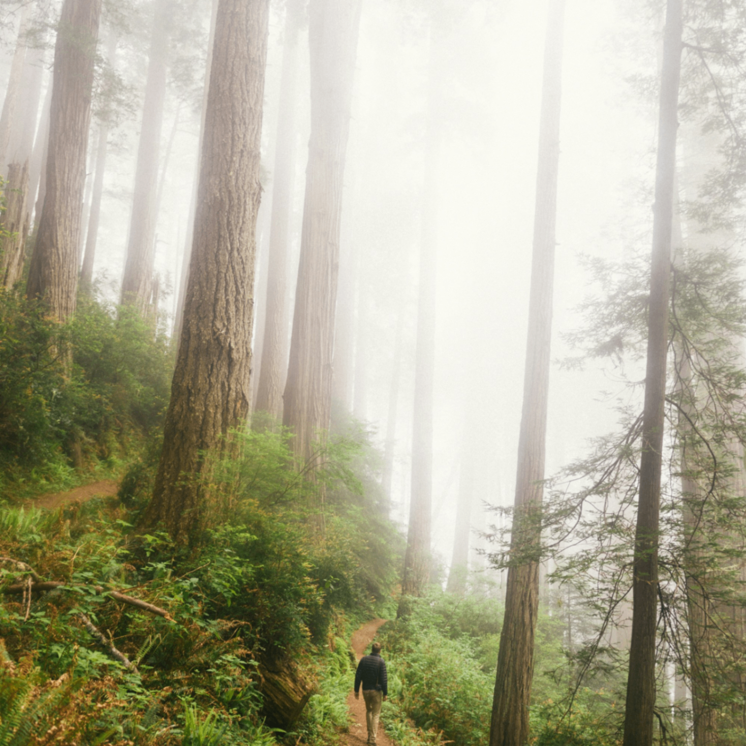 simoouasoiu (66465.lens) Lens social identity (.lens handle) PFP