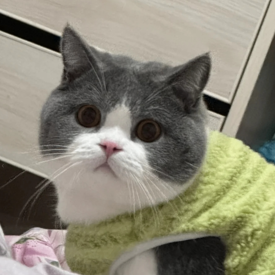 mani (gosmani275.lens) Lens social identity (.lens handle) PFP