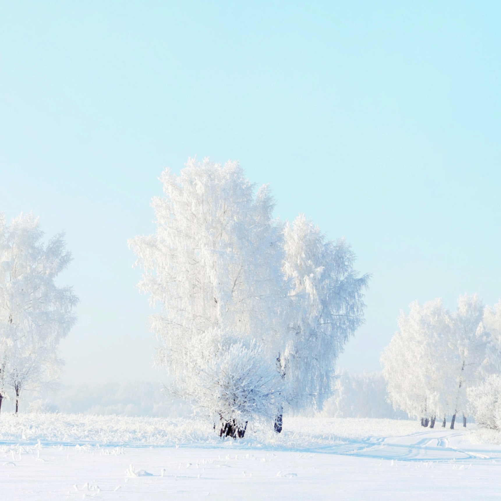 gdfg (vexonix.lens) Lens social identity (.lens handle) PFP