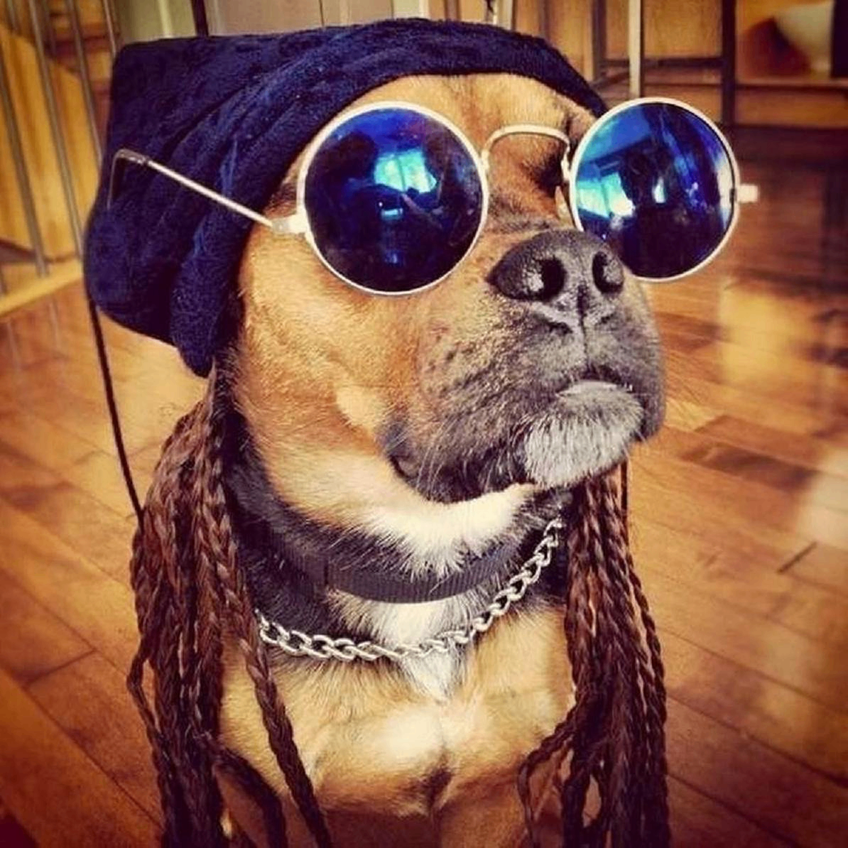 Lennon (asmzhv.lens) Lens social identity (.lens handle) PFP