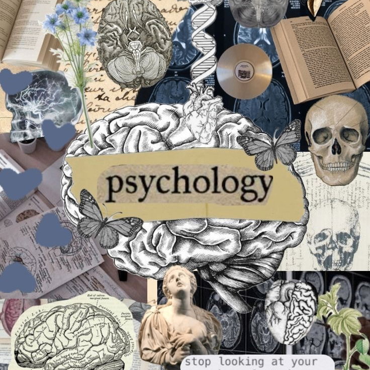 PavelWan (psychology50.lens) Lens social identity (.lens handle) PFP