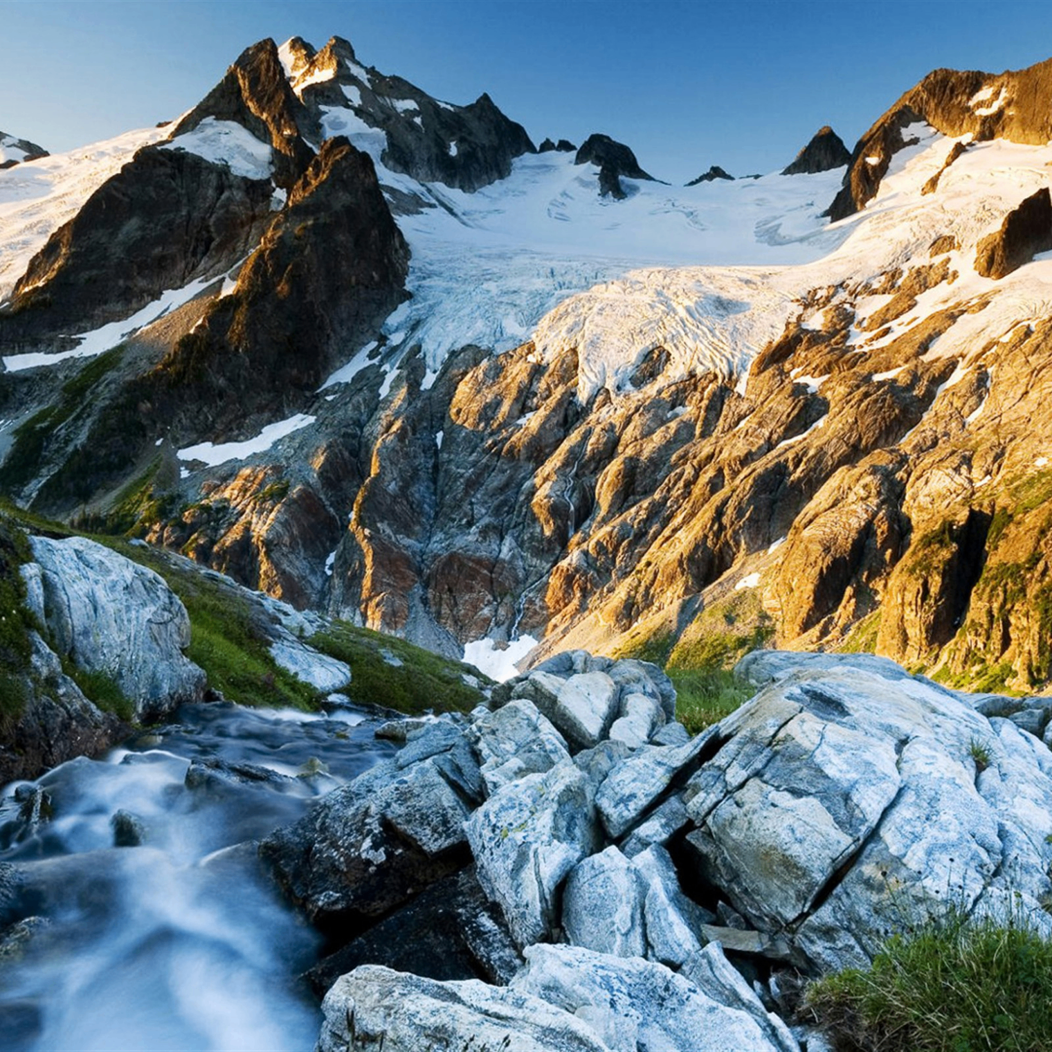 deevg (ws231.lens) Lens social identity (.lens handle) PFP