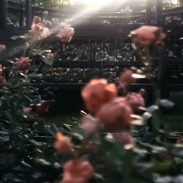 Justin Steinbeck (keeee.lens) Lens social identity (.lens handle) PFP