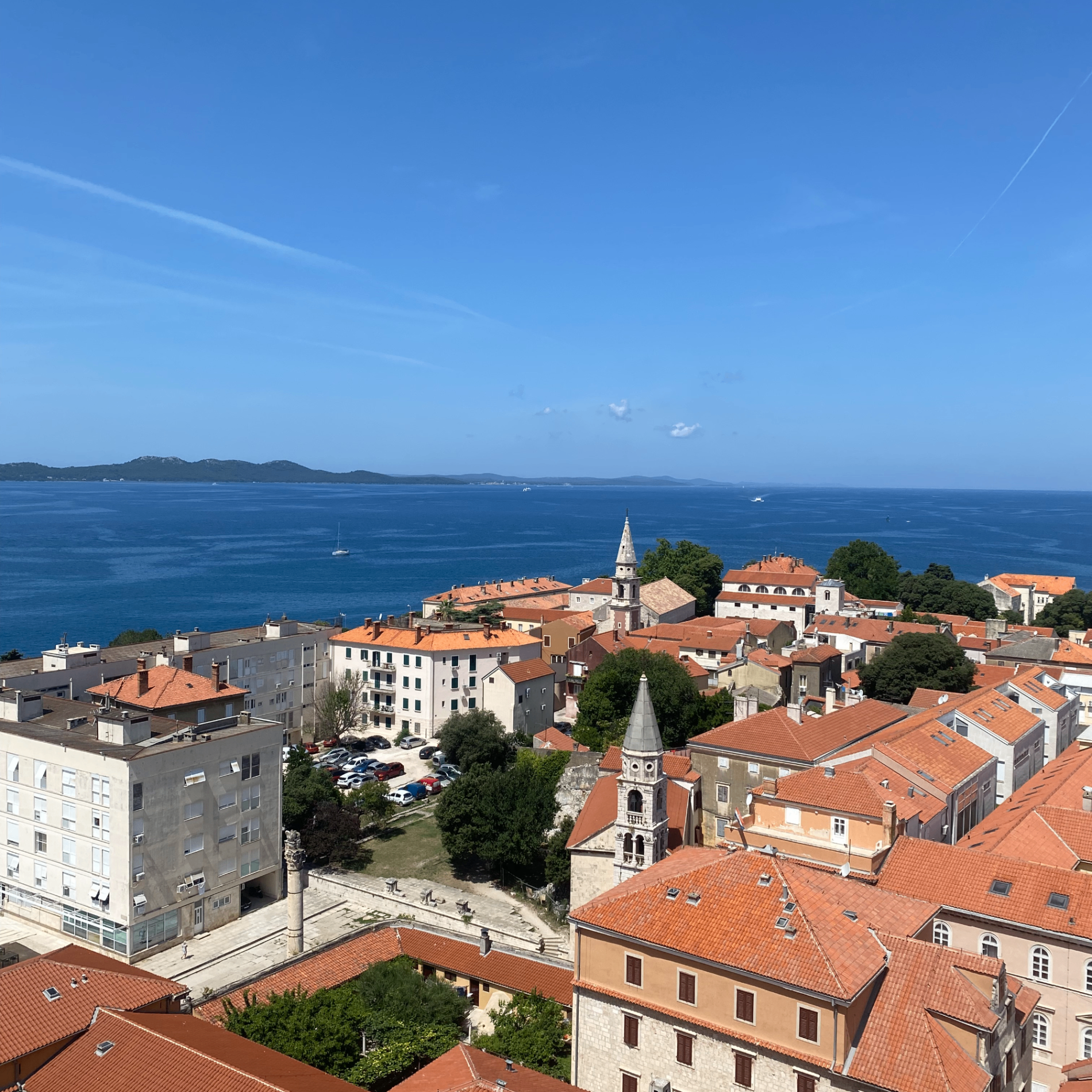 newcurll1 (newcurll.lens) Lens social identity (.lens handle) PFP