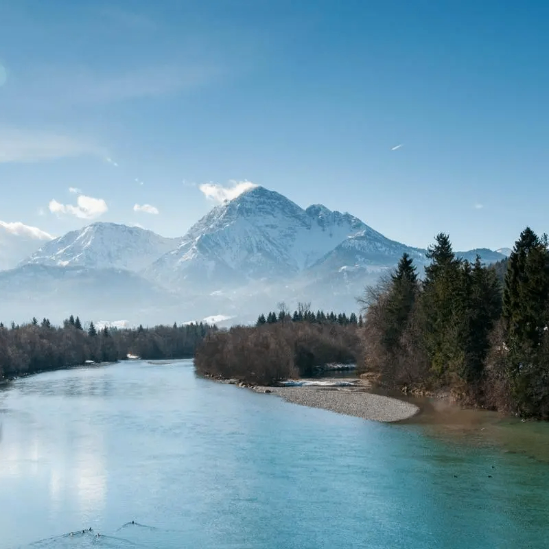 coinseed.eth Ethereum Name Service (ENS and .eth domain) PFP