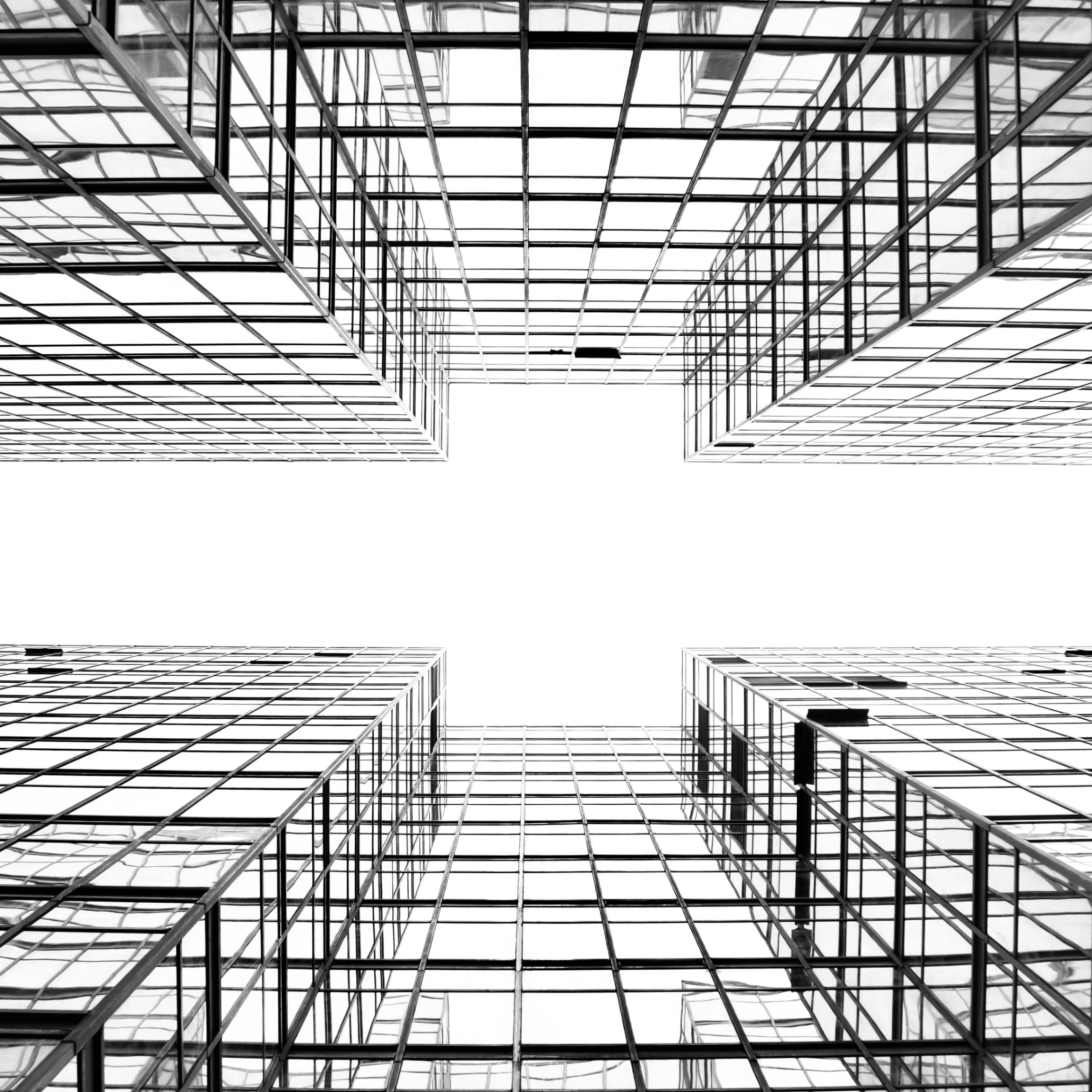 Orwel (orwel.lens) Lens social identity (.lens handle) PFP