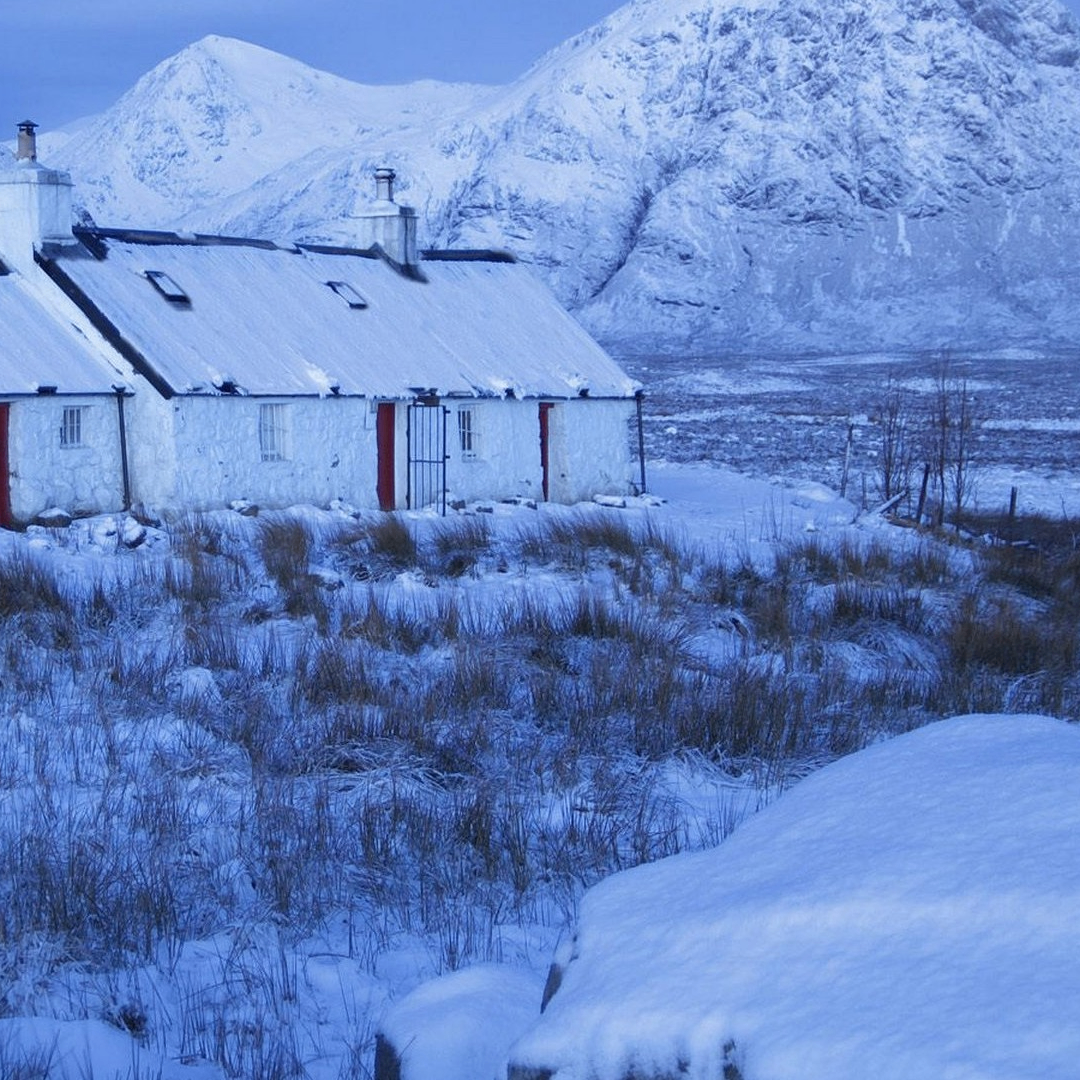 fgh (litter.lens) Lens social identity (.lens handle) PFP