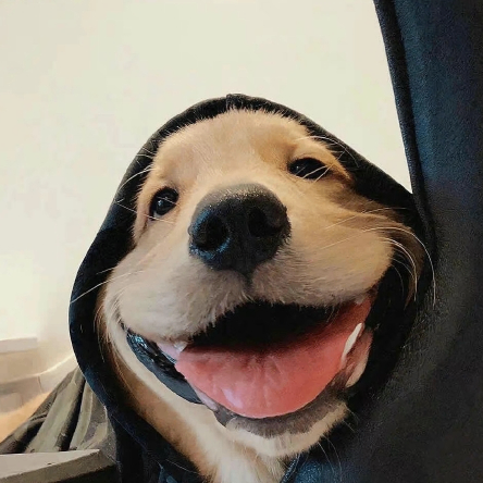 Yehudi (rriri32.lens) Lens social identity (.lens handle) PFP