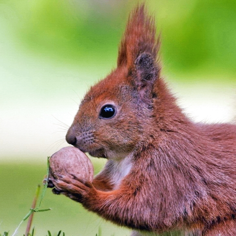 Michael Charley (jjjjt.lens) Lens social identity (.lens handle) PFP