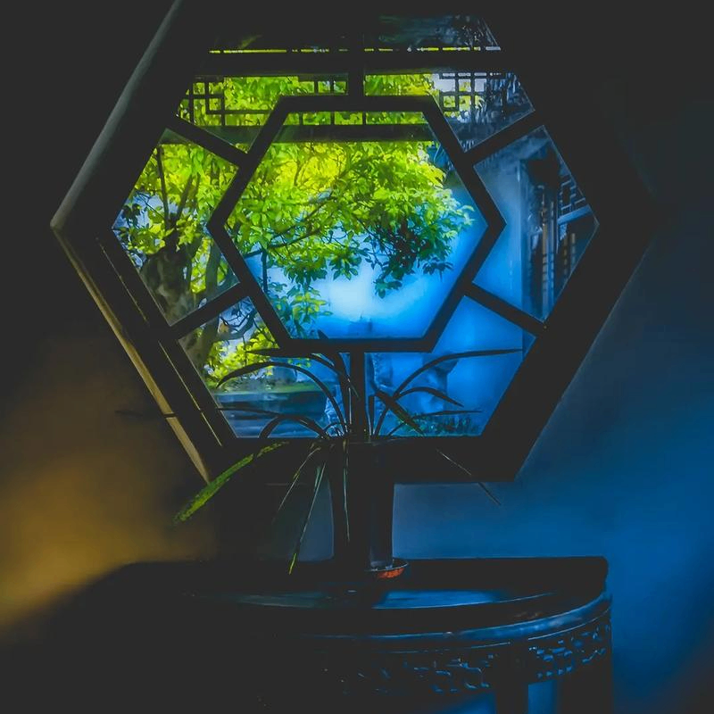 nhuqq (hahgags.lens) Lens social identity (.lens handle) PFP