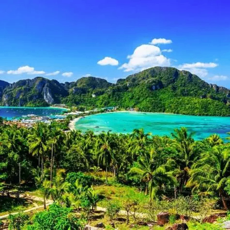 arbwudi (arbwudi.lens) Lens social identity (.lens handle) PFP