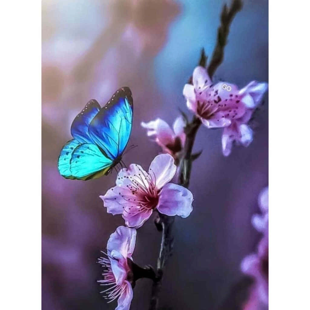 LADY (yande.lens) Lens social identity (.lens handle) PFP