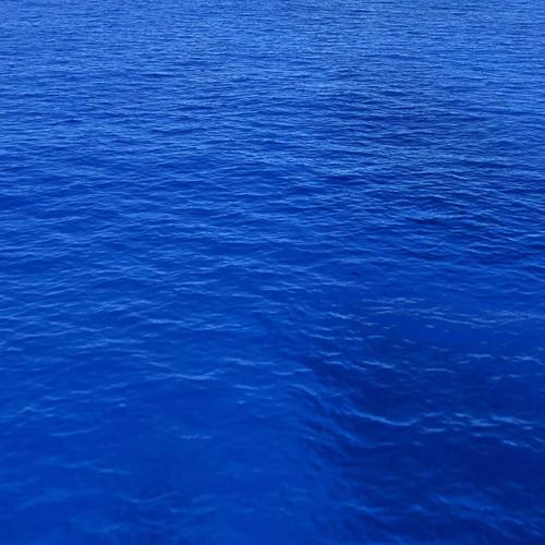 oracel1 (orcela.lens) Lens social identity (.lens handle) PFP