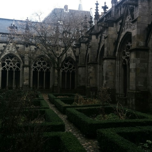 Lucrezia (hsdrtw5.lens) Lens social identity (.lens handle) PFP