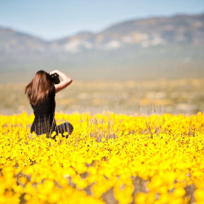 Benjamin Walker (monody.lens) Lens social identity (.lens handle) PFP