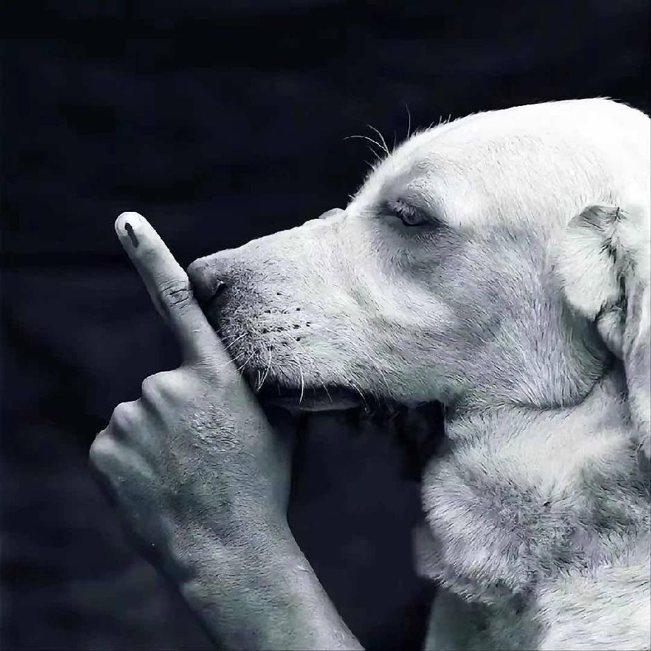 Fly to (kitab.lens) Lens social identity (.lens handle) PFP