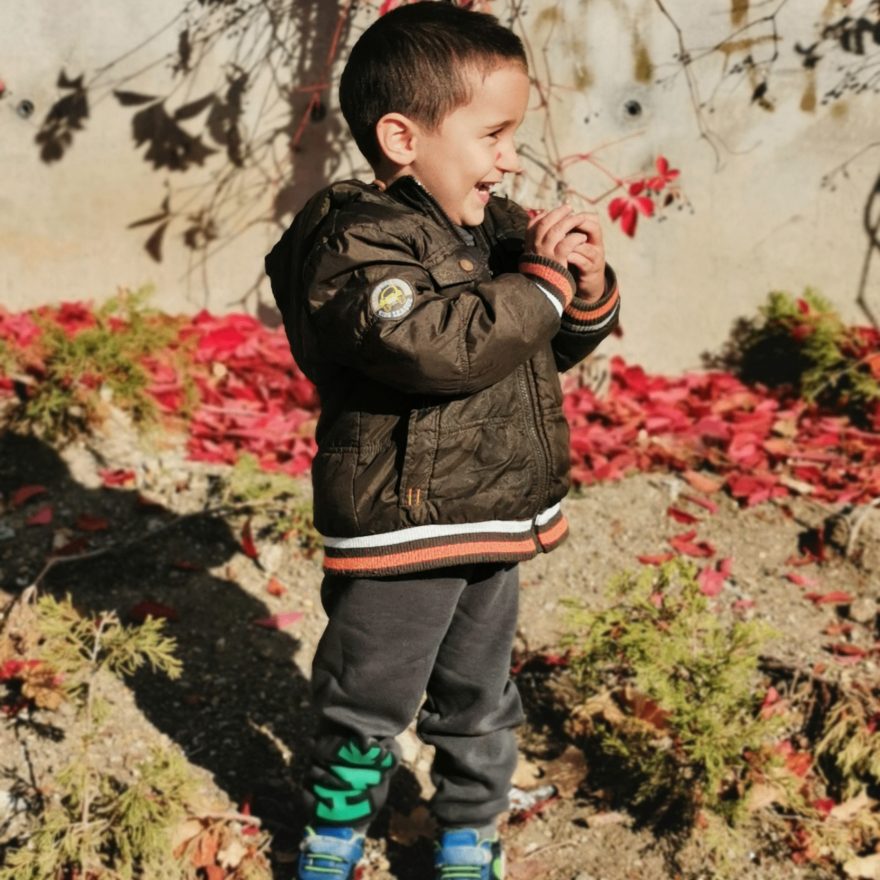 aliasaf06 (aliasaf06.lens) Lens social identity (.lens handle) PFP