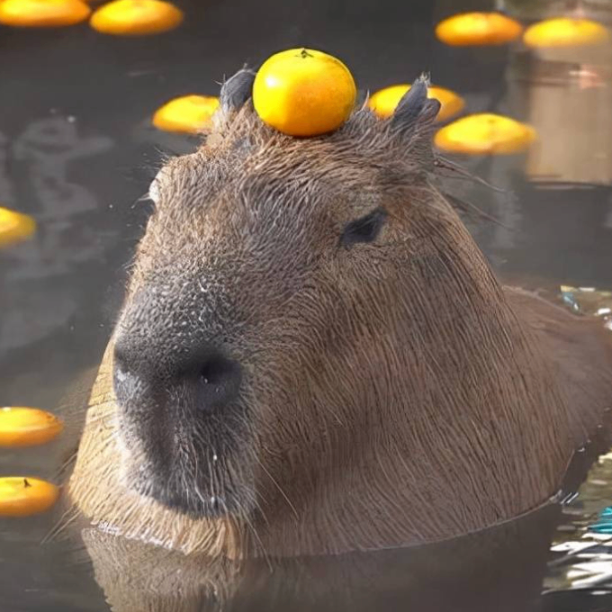 raohyt (llaall.lens) Lens social identity (.lens handle) PFP