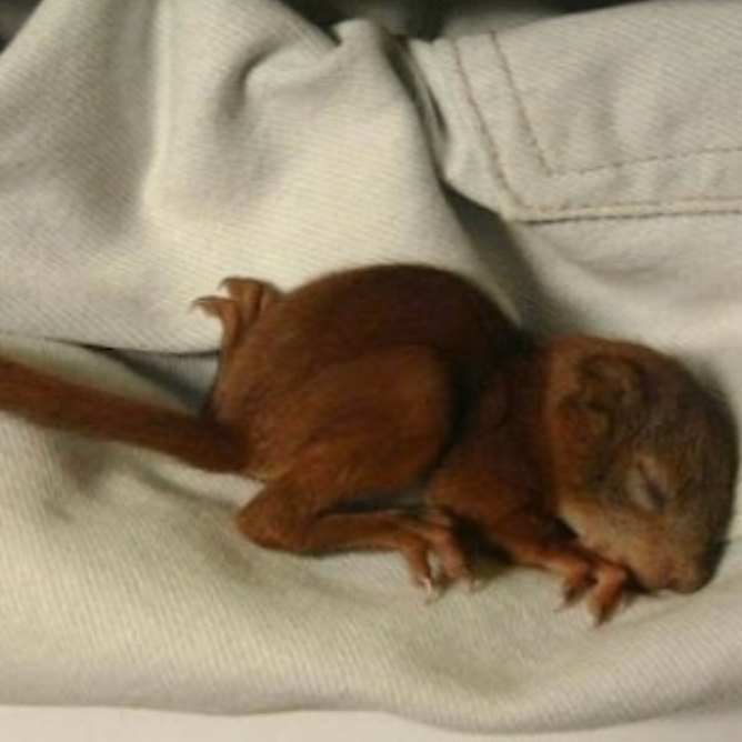 defefefe (sssssm.lens) Lens social identity (.lens handle) PFP