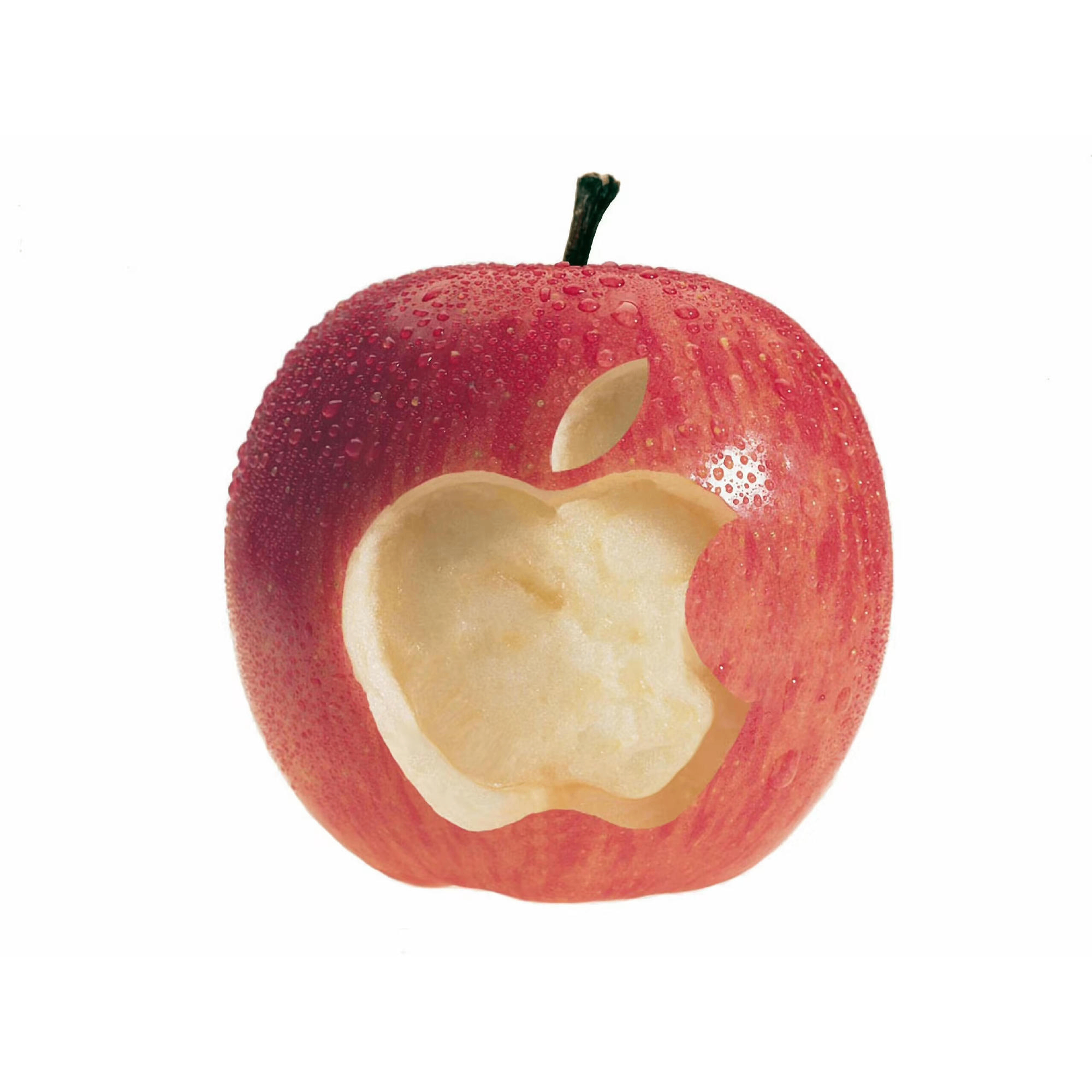 Thaddeus Blackwood (midniight.lens) Lens social identity (.lens handle) PFP