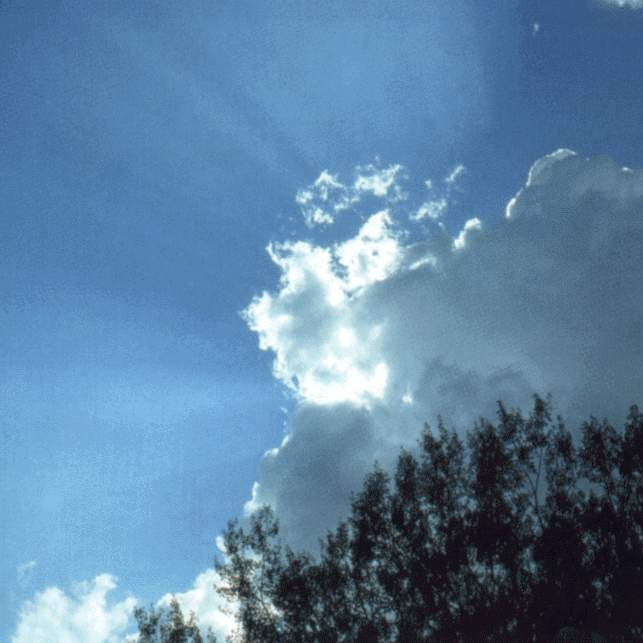 Neil (maimizial.lens) Lens social identity (.lens handle) PFP