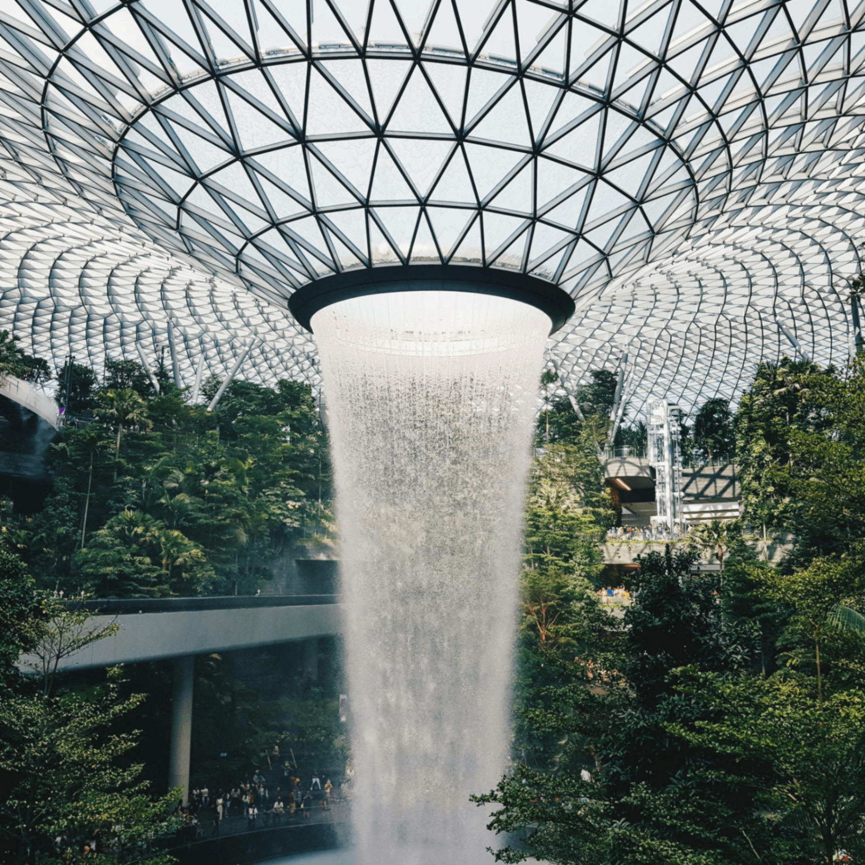 Somon (somon.lens) Lens social identity (.lens handle) PFP