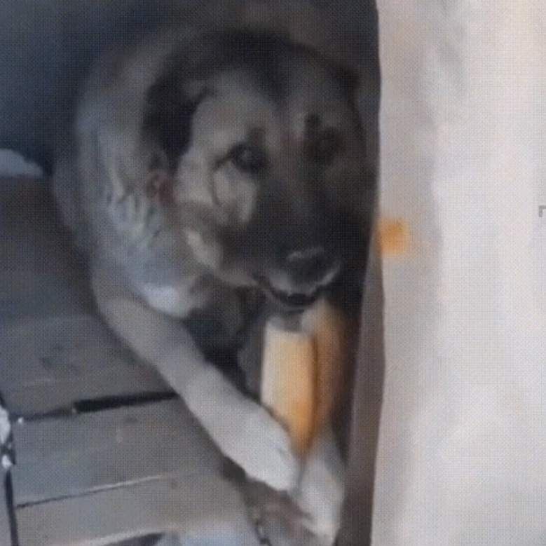 Zoe Murphy (c0entalfd8bd1.lens) Lens social identity (.lens handle) PFP