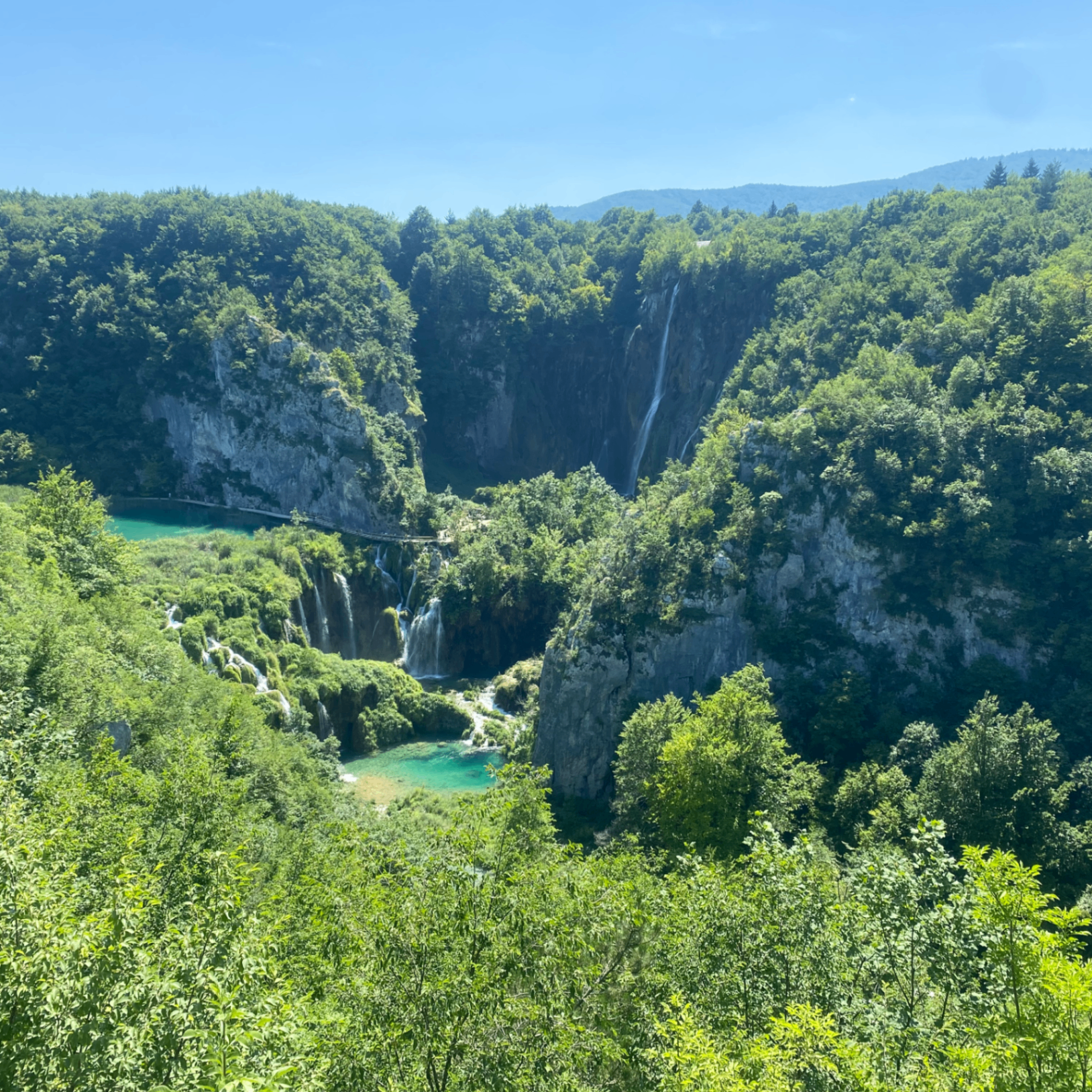 ccll5 (ccll5.lens) Lens social identity (.lens handle) PFP