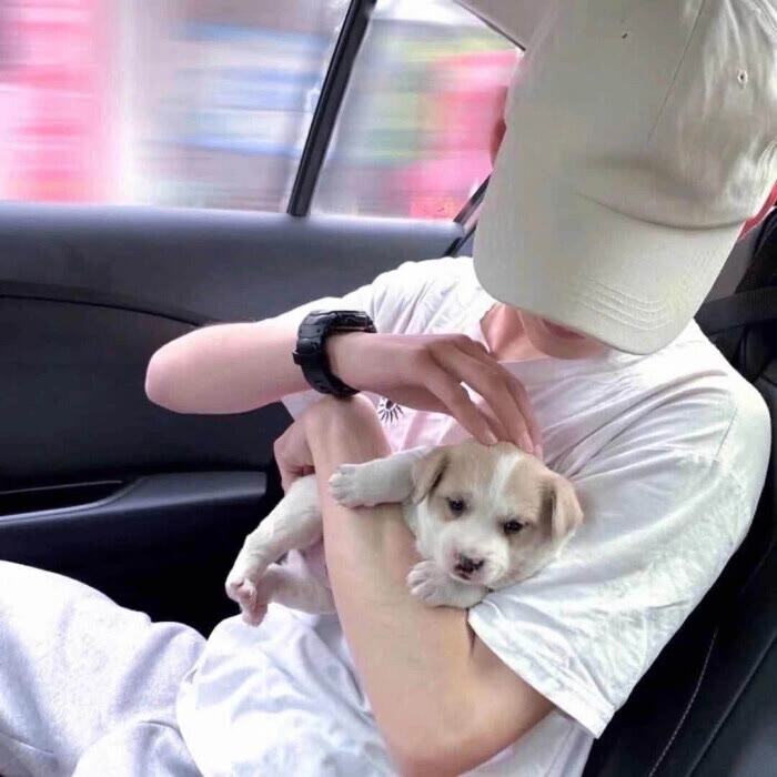 starlighti (starlighti.lens) Lens social identity (.lens handle) PFP