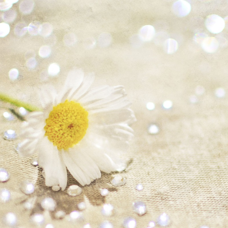 jh (hexilix.lens) Lens social identity (.lens handle) PFP