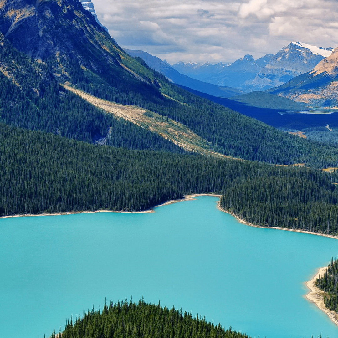 ag (polonix.lens) Lens social identity (.lens handle) PFP