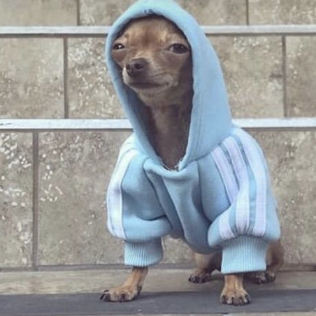 yungjeth (yungj.lens) Lens social identity (.lens handle) PFP