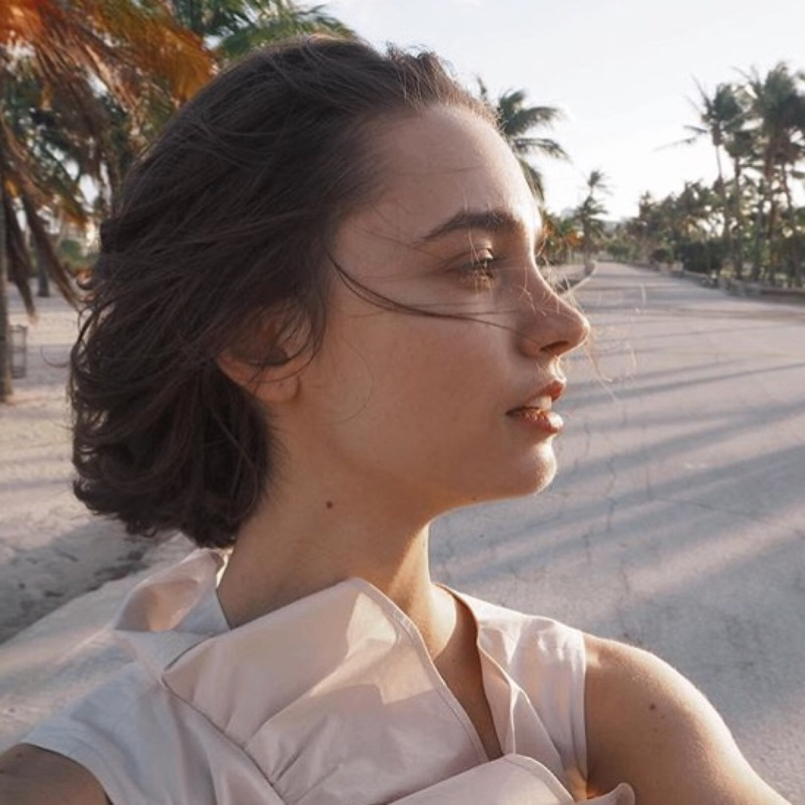 barkicruz (barkicruz.lens) Lens social identity (.lens handle) PFP