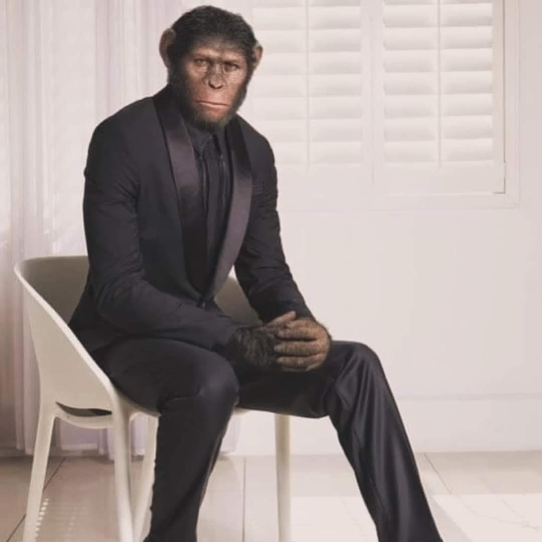 Lovelesh (lovelesh.lens) Lens social identity (.lens handle) PFP