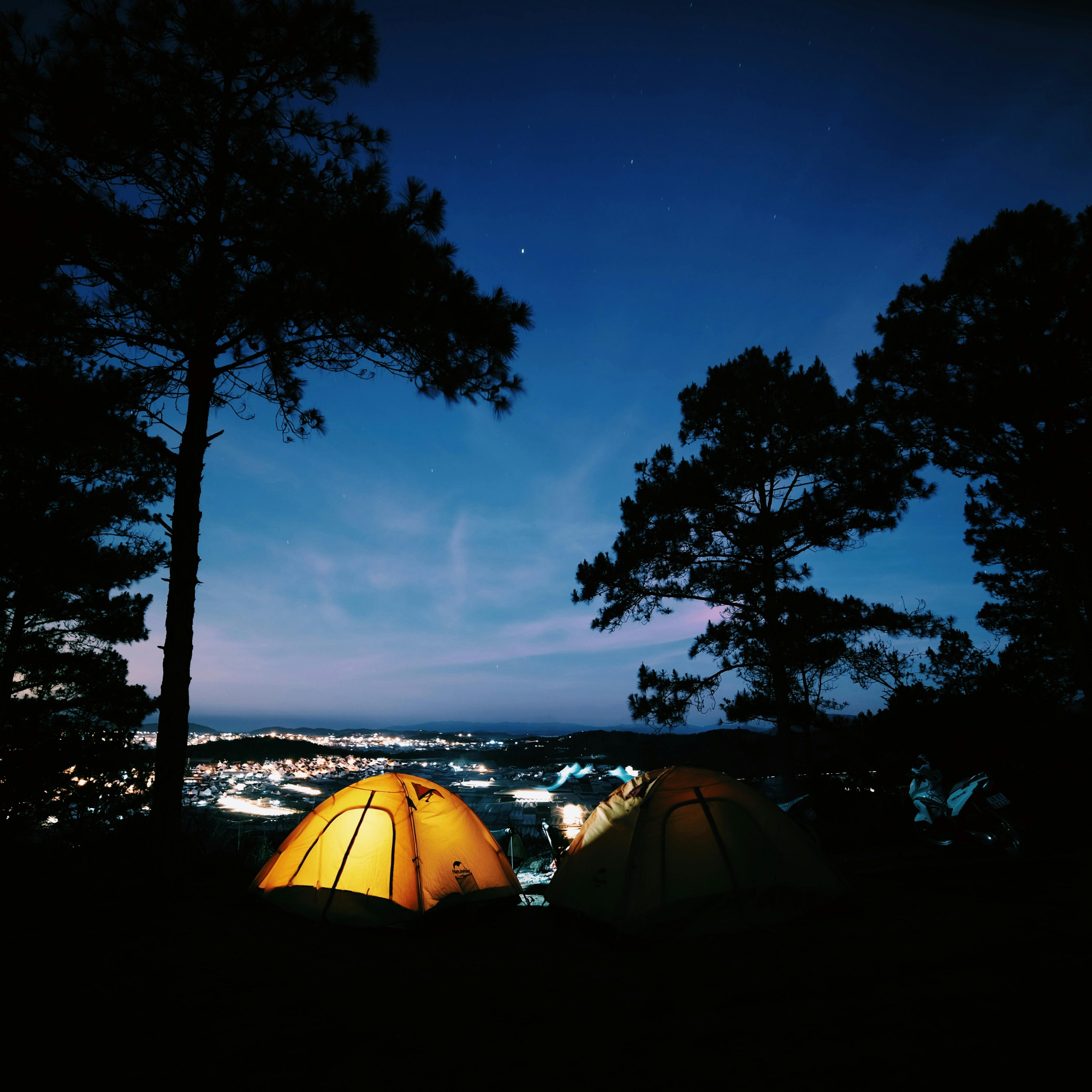 kasheem (kasheem.lens) Lens social identity (.lens handle) PFP