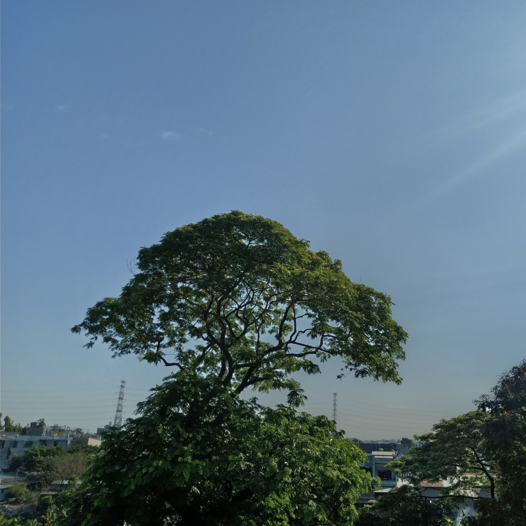 Tinhsteel (tinhsteel.lens) Lens social identity (.lens handle) PFP