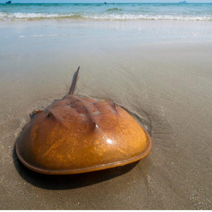 dfcccvcvv (eeeew.lens) Lens social identity (.lens handle) PFP