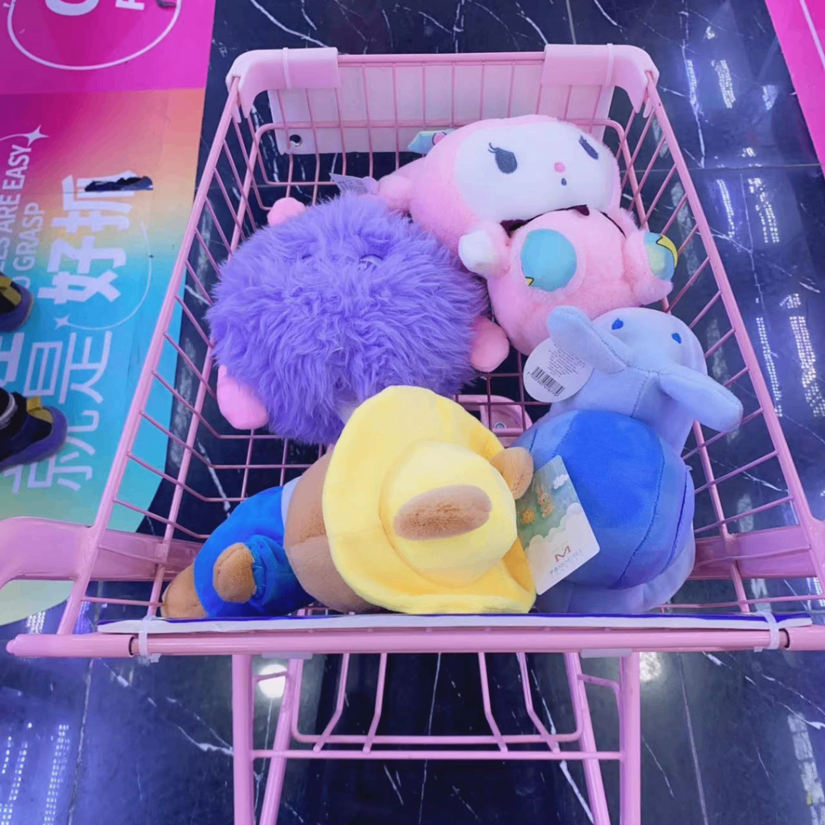 camelllia (camelllia.lens) Lens social identity (.lens handle) PFP