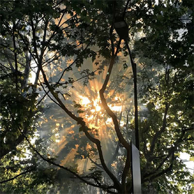 zeus (zhupan.lens) Lens social identity (.lens handle) PFP