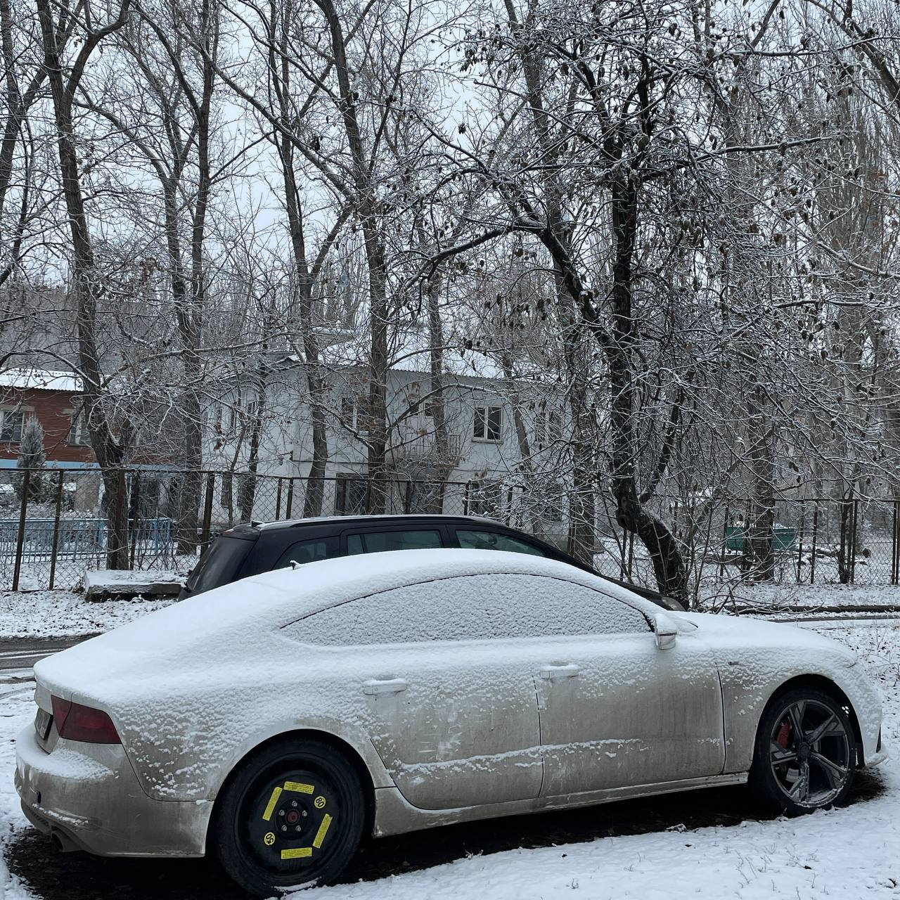 Opeees (jesss.lens) Lens social identity (.lens handle) PFP