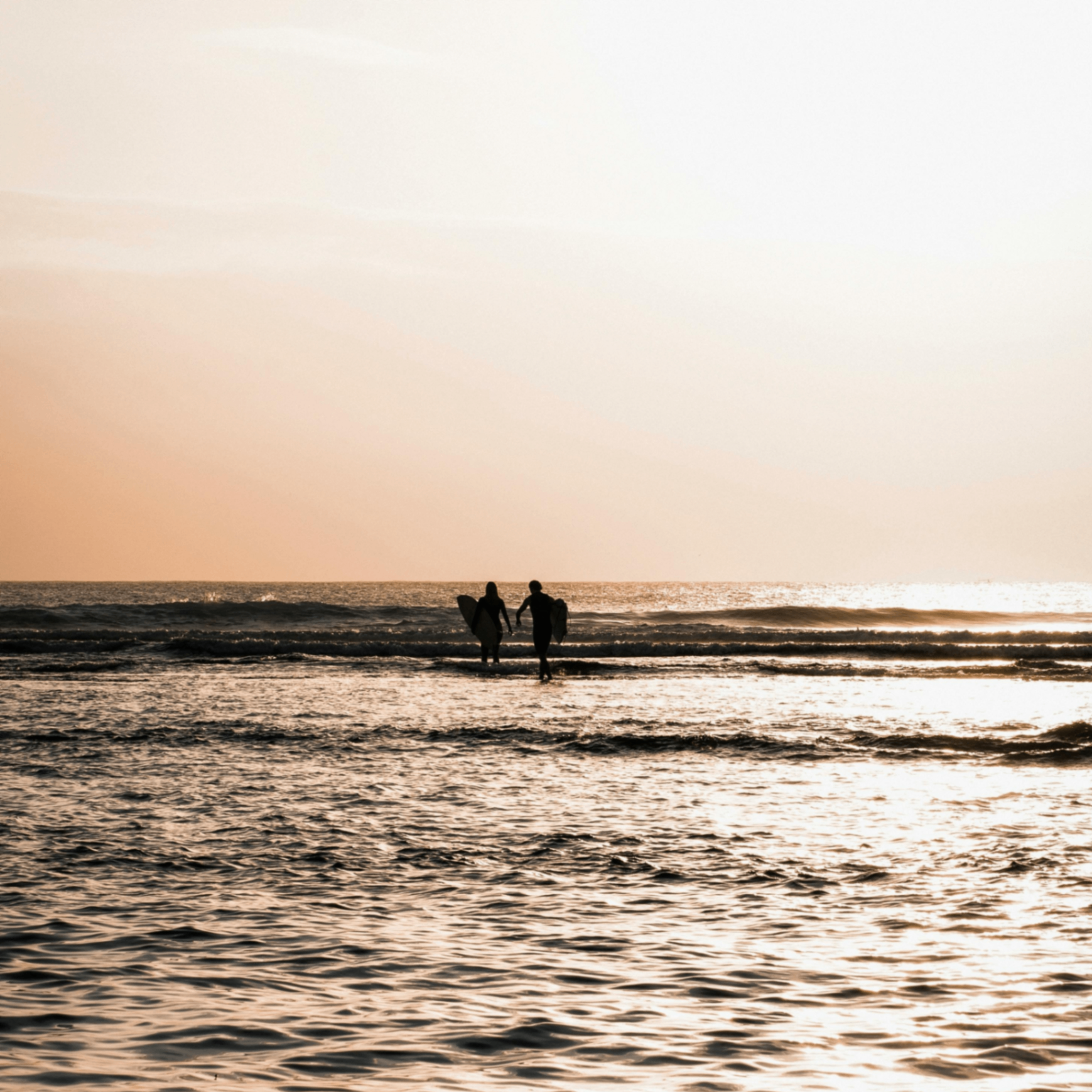 pipao (pipao.lens) Lens social identity (.lens handle) PFP