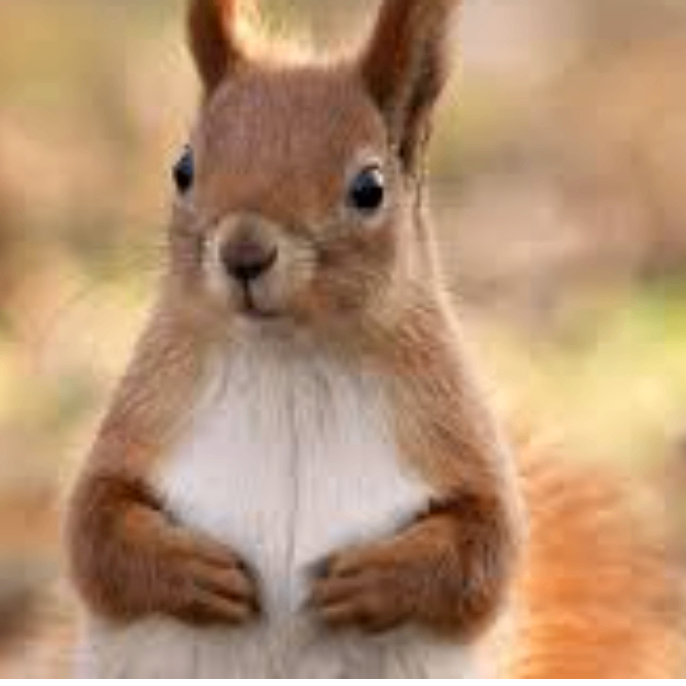 jkbnjnkm (lhhhhh.lens) Lens social identity (.lens handle) PFP