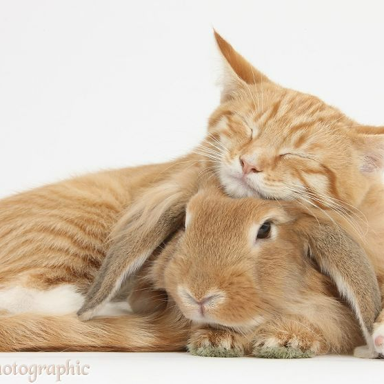 Daily (dailymm.lens) Lens social identity (.lens handle) PFP