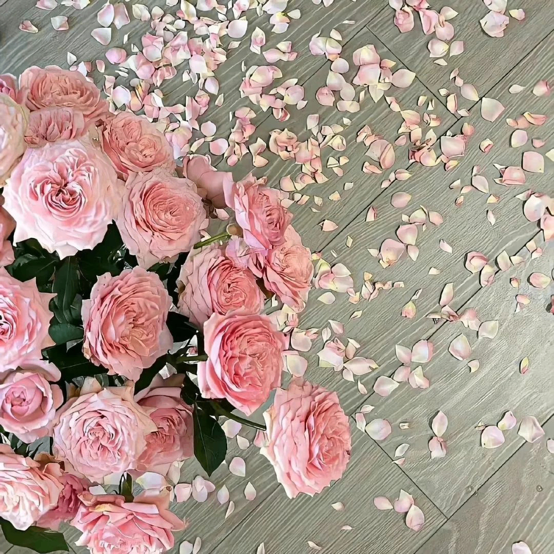 Wei Jie (ricko.lens) Lens social identity (.lens handle) PFP