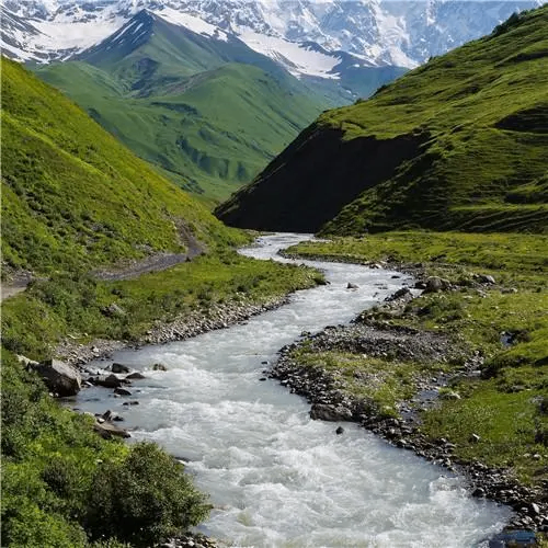 musolens (musolens.lens) Lens social identity (.lens handle) PFP